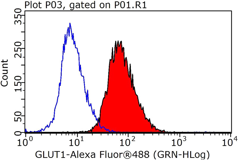 1X10^6 HeLa cells were stained with 0.2ug SLC2A1,GLUT1 antibody (Catalog No:111076, red) and control antibody (blue). Fixed with 90% MeOH blocked with 3% BSA (30 min). Alexa Fluor 488-congugated AffiniPure Goat Anti-Rabbit IgG(H+L) with dilution 1:1000.