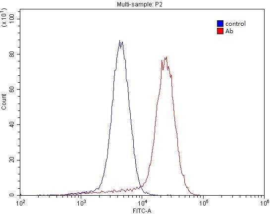 1X10^6 NCCIT cell were stained with 0.2ug NT5E,CD73 antibody (Catalog No:113396, red) and control antibody (blue). Fixed with 4% PFA blocked with 3% BSA (30 min). Alexa Fluor 488-congugated AffiniPure Goat Anti-Rabbit IgG(H+L) with dilution 1:1500.