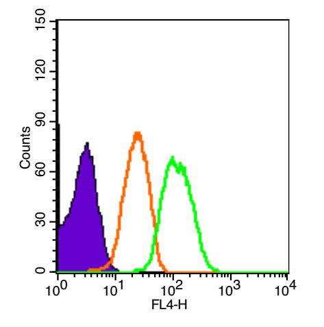 Fig1: Blank control (Black line): HUVEC(Black).; Primary Antibody (green line): Rabbit Anti-XIAP antibody ; Dilution: 1μg /10^6 cells;; Isotype Control Antibody (orange line): Rabbit IgG .; Secondary Antibody (white blue line): Goat anti-rabbit IgG-PE; Dilution: 1μg /test.; Protocol; The cells were fixed with 4% PFA (10min at room temperature)and then permeabilized with 90% ice-cold methanol for 20 min at room temperature. The cells were then incubated in 5%BSA to block non-specific protein-protein interactions for 30 min at room temperature .Cells stained with Primary Antibody for 30 min at room temperature. The secondary antibody used for 40 min at room temperature. Acquisition of 20,000 events was performed.