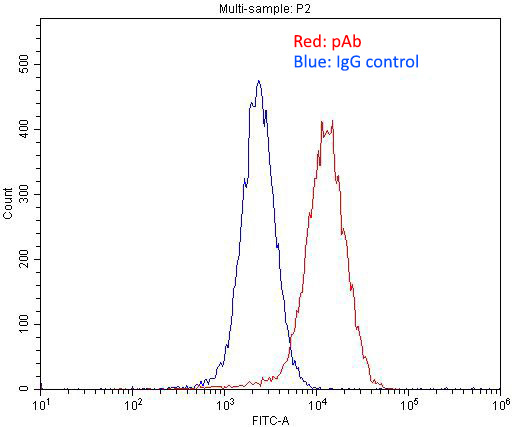 1X10^6 MCF-7 cells were stained with 0.2ug UNC5A antibody (Catalog No:116615, red) and control antibody (blue). Fixed with 4% PFA blocked with 3% BSA (30 min). Alexa Fluor 488-congugated AffiniPure Goat Anti-Rabbit IgG(H+L) with dilution 1:1500.