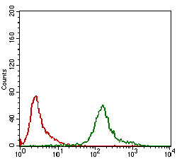 Flow cytometric analysis of K562 cells using KHDRBS2 mouse mAb (green) and negative control (red).