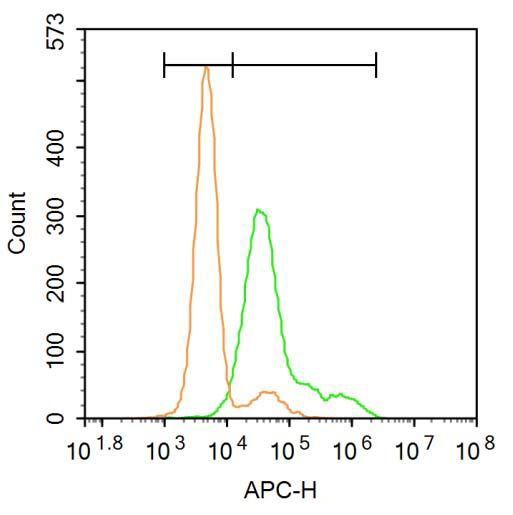 Fig2: Blank control: U-2OS.; Primary Antibody (green line): Rabbit Anti-5HT2A Receptor antibody ; Dilution: 3μg /10^6 cells;; Isotype Control Antibody (orange line): Rabbit IgG .; Secondary Antibody : Goat anti-rabbit IgG-AF647; Dilution: 3μg /test.; Protocol; The cells were incubated in 5%BSA to block non-specific protein-protein interactions for 30 min at at room temperature .Cells stained with Primary Antibody for 30 min at room temperature. The secondary antibody used for 40 min at room temperature. Acquisition of 20,000 events was performed.