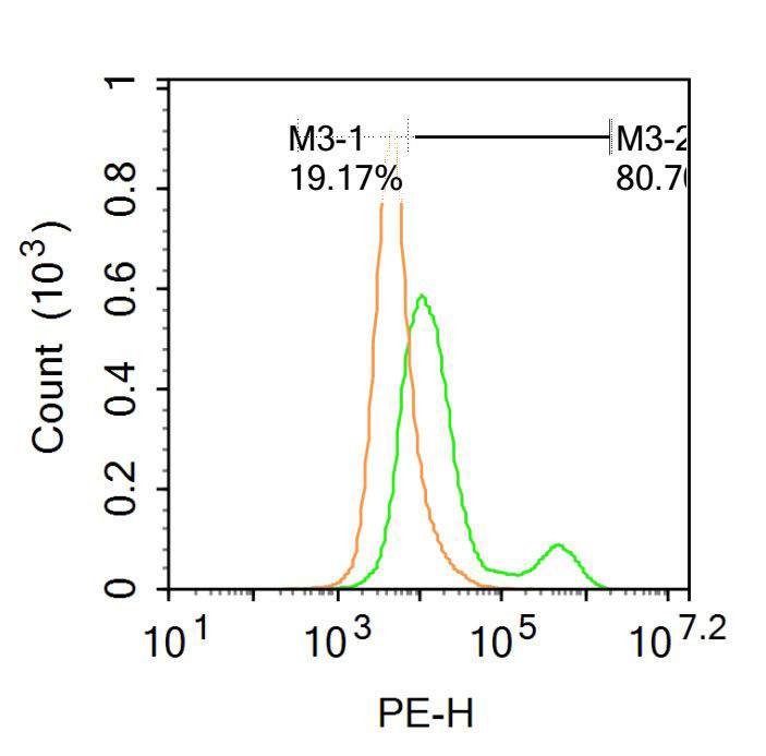 Fig2: Blank control: U87MG.; Primary Antibody (green line): Rabbit Anti-CD167b/DDR2 antibody ; Dilution: 1μg /10^6 cells;; Isotype Control Antibody (orange line): Rabbit IgG .; Secondary Antibody : Goat anti-rabbit IgG-PE; Dilution: 1μg /test.; The cells were incubated in 5%BSA to block non-specific protein-protein interactions for 30 min at at room temperature .Cells stained with Primary Antibody for 30 min at room temperature. The secondary antibody used for 40 min at room temperature. Acquisition of 20,000 events was performed.