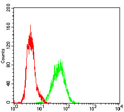 Flow cytometric analysis of A431 cells using Ku70 mouse mAb (green) and negative control (red).