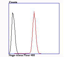 Fig10:; Flow cytometric analysis of Nogo was done on Hela cells. The cells were fixed, permeabilized and stained with the primary antibody ( 1/50) (red). After incubation of the primary antibody at room temperature for an hour, the cells were stained with a Alexa Fluor®488 conjugate-Goat anti-Rabbit IgG Secondary antibody at 1/1,000 dilution for 30 minutes.Unlabelled sample was used as a control (cells without incubation with primary antibody; black).