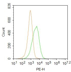 Fig5: Blank control: Jurkat.; Primary Antibody (green line): Rabbit Anti-CD45 antibody ; Dilution: 2μg /10^6 cells;; Isotype Control Antibody (orange line): Rabbit IgG .; Secondary Antibody : Goat anti-rabbit IgG-PE; Dilution: 1μg /test.; Protocol; The cells were incubated in 5%BSA to block non-specific protein-protein interactions for 30 min at at room temperature .Cells stained with Primary Antibody for 30 min at room temperature. The secondary antibody used for 40 min at room temperature. Acquisition of 20,000 events was performed.