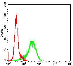 Flow cytometric analysis of NIH/3T3 cells using GSK3B mouse mAb (green) and negative control (red).