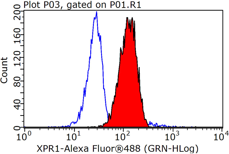 1X10^6 Jurkat cells were stained with 0.2ug XPR1 antibody (Catalog No:116996, red) and control antibody (blue). Fixed with 90% MeOH blocked with 3% BSA (30 min). Alexa Fluor 488-congugated AffiniPure Goat Anti-Rabbit IgG(H+L) with dilution 1:1000.