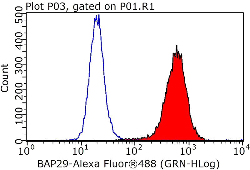 1X10^6 HEK-293 cells were stained with 0.2ug BCAP29 antibody (Catalog No:108420, red) and control antibody (blue). Fixed with 90% MeOH blocked with 3% BSA (30 min). FITC-Goat anti-Rabbit IgG with dilution 1:100.