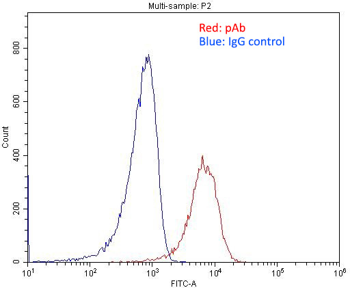 1X10^6 RAW 264.7 cells were stained with 0.2ug MYO10 antibody (Catalog No:112977, red) and control antibody (blue). Fixed with 4% PFA blocked with 3% BSA (30 min). Alexa Fluor 488-congugated AffiniPure Goat Anti-Rabbit IgG(H+L) with dilution 1:1500.