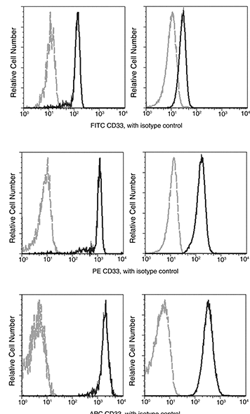 CD33 / Siglec-3 Antibody (APC), Rabbit MAb, Flow Cytometry