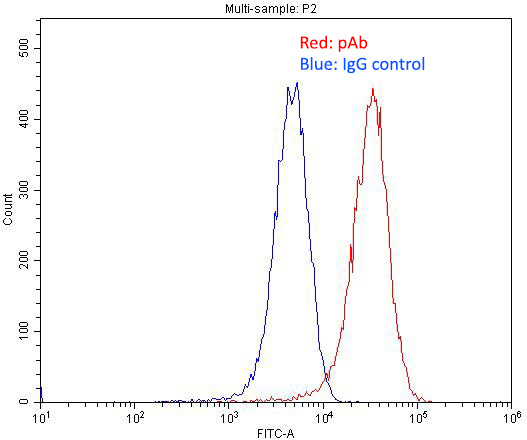 1X10^6 HUVEC cells were stained with 0.2ug CD31 antibody (Catalog No:109025, red) and control antibody (blue). Fixed with 4% PFA blocked with 3% BSA (30 min). Alexa Fluor 488-congugated AffiniPure Goat Anti-Rabbit IgG(H+L) with dilution 1:1500.