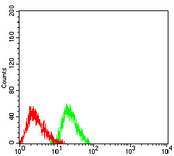 Fig4: Flow cytometric analysis of RBFOX2 was done on Jurkat cells. The cells were fixed, permeabilized and stained with the primary antibody ( 1/100) (green). After incubation of the primary antibody at room temperature for an hour, the cells were stained with a Alexa Fluor 488-conjugated goat anti-Mouse IgG Secondary antibody at 1/500 dilution for 30 minutes. Unlabelled sample was used as a control (cells without incubation with primary antibody; red).