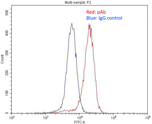 1X10^6 SH-SY5Y cells were stained with 0.2ug GABRA1 antibody (Catalog No:110807, red) and control antibody (blue). Fixed with 4% PFA blocked with 3% BSA (30 min). Alexa Fluor 488-congugated AffiniPure Goat Anti-Rabbit IgG(H+L) with dilution 1:1500.