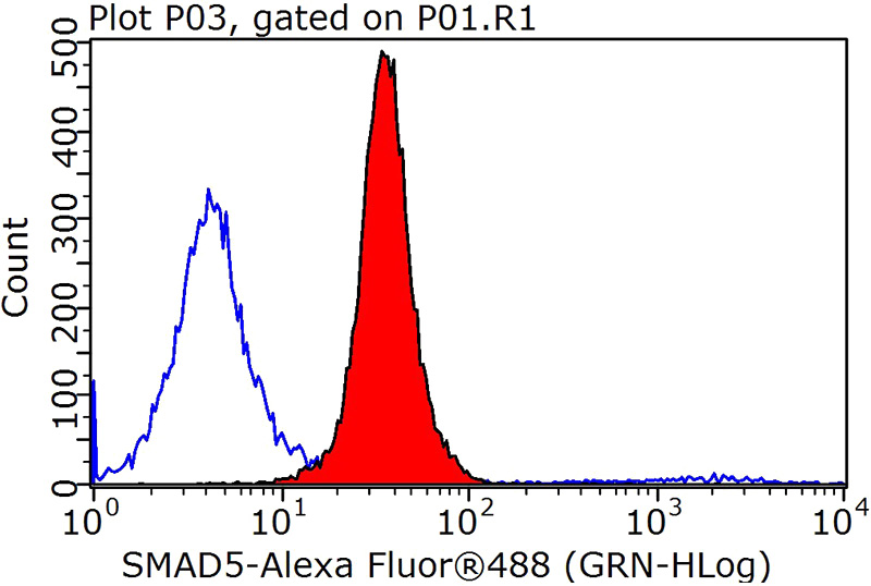 1X10^6 MCF-7 cells were stained with 0.2ug SMAD5 antibody (Catalog No:115421, red) and control antibody (blue). Fixed with 90% MeOH blocked with 3% BSA (30 min). Alexa Fluor 488-congugated AffiniPure Goat Anti-Rabbit IgG(H+L) with dilution 1:1000.