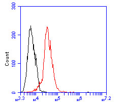 Fig3:; Flow cytometric analysis of Perilipin-5 was done on JAR cells. The cells were fixed, permeabilized and stained with the primary antibody ( 1/100) (red). After incubation of the primary antibody at room temperature for an hour, the cells were stained with a Alexa Fluor 488-conjugated goat anti-rabbit IgG Secondary antibody at 1/500 dilution for 30 minutes.Unlabelled sample was used as a control (cells without incubation with primary antibody; black).