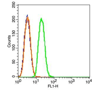 Fig3: Blank control(blue): Raji(fixed with 2% paraformaldehyde (10 min)).; Primary Antibody:Rabbit Anti-CARD15/AF488 Conjugated antibody(175296#-/AF488 ), Dilution: 1μg in 100 μL 1X PBS containing 0.5% BSA;; Isotype Control Antibody: Rabbit IgG/AF488(orange) ,used under the same conditions );