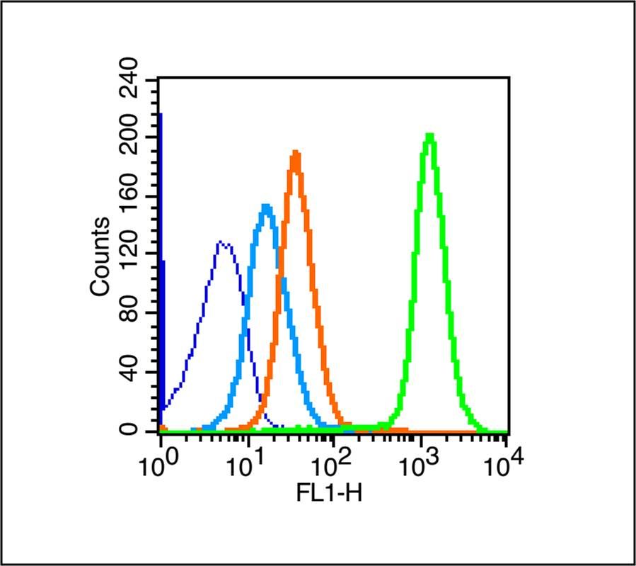 Fig3: Blank control (blue line): Mouse spleen (blue).; Primary Antibody (green line): Rabbit Anti- IL12 antibody ; Dilution: 1μg /10^6 cells;; Isotype Control Antibody (orange line): Rabbit IgG .; Secondary Antibody (white blue line): Goat anti-rabbit IgG-FITC; Dilution: 1μg /test.; Protocol; The cells were fixed with 70% ice-cold methanol overnight at 4℃. Cells stained with Primary Antibody for 30 min at room temperature. The cells were then incubated in 1 X PBS/2%BSA/10% goat serum to block non-specific protein-protein interactions followed by the antibody for 15 min at room temperature. The secondary antibody used for 40 min at room temperature. Acquisition of 20,000 events was performed.