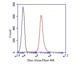 Fig5: Flow cytometric analysis of Dux was done on MG-63 cells. The cells were fixed, permeabilized and stained with the primary antibody ( 1/50) (red). After incubation of the primary antibody at room temperature for an hour, the cells were stained with a Alexa Fluor 488-conjugated Goat anti-Rabbit IgG Secondary antibody at 1/1000 dilution for 30 minutes.Unlabelled sample was used as a control (cells without incubation with primary antibody; black).