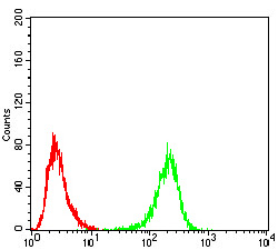 Fig4: Flow cytometric analysis of Hela cells with ULK2 antibody at 1/100 dilution (green) compared with an unlabelled control (cells without incubation with primary antibody; red).