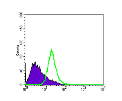 Fig5: Flow cytometric analysis of PC-3 cells with NKX3A antibody at 1/100 dilution (green) compared with an unlabelled control (cells without incubation with primary antibody; purple).