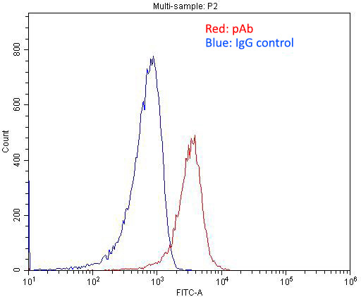 1X10^6 RAW 264.7 cells were stained with 0.2ug CD14 antibody (Catalog No:109053, red) and control antibody (blue). Fixed with 4% PFA blocked with 3% BSA (30 min). Alexa Fluor 488-congugated AffiniPure Goat Anti-Rabbit IgG(H+L) with dilution 1:1500.