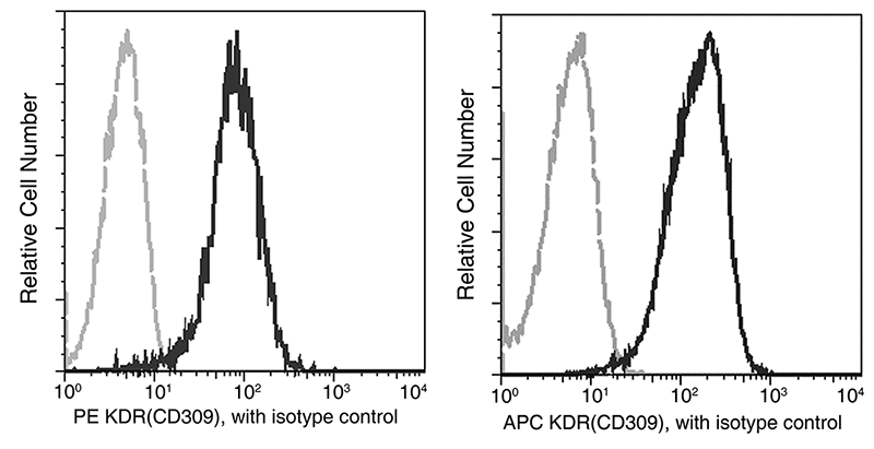 VEGFR2 / Flk-1 / CD309 / KDR Antibody (APC), Rabbit MAb, Flow Cytometry