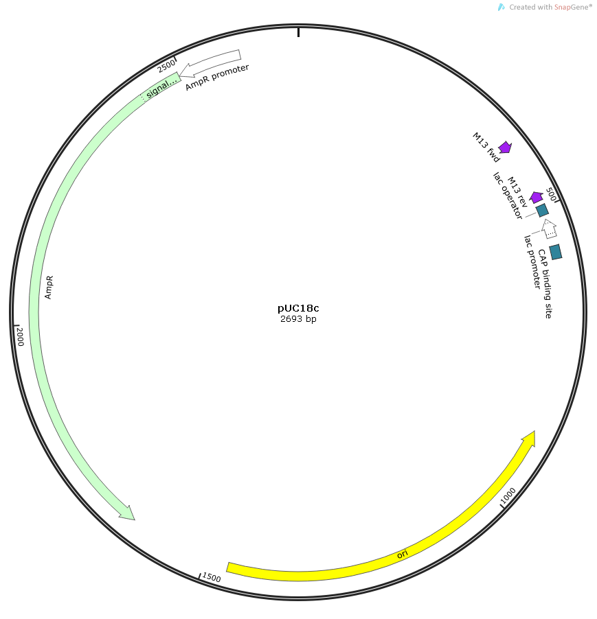 Plaur Mouse  cDNA/ORF Clone